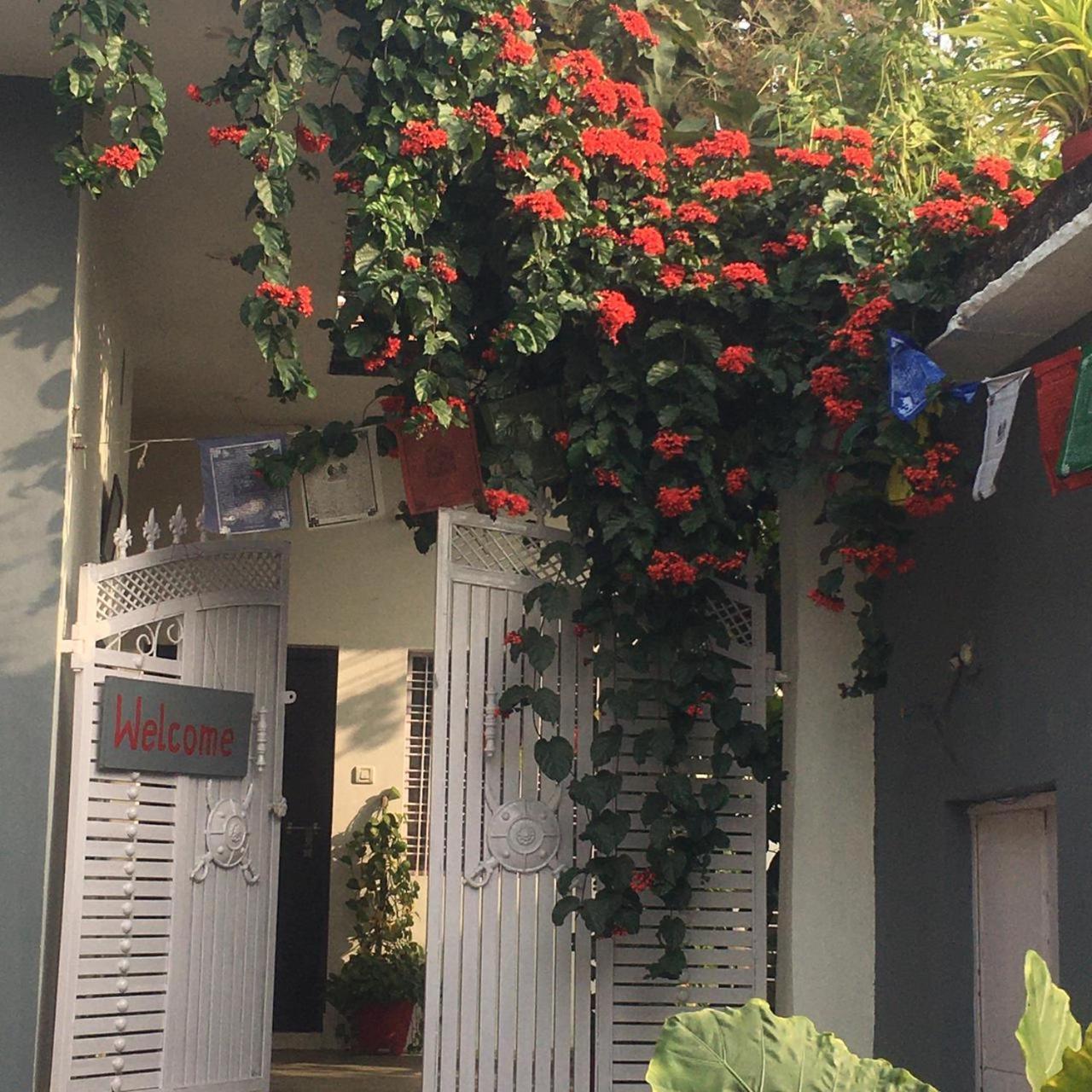 The Highvill Home Stay Khajurāho Zewnętrze zdjęcie