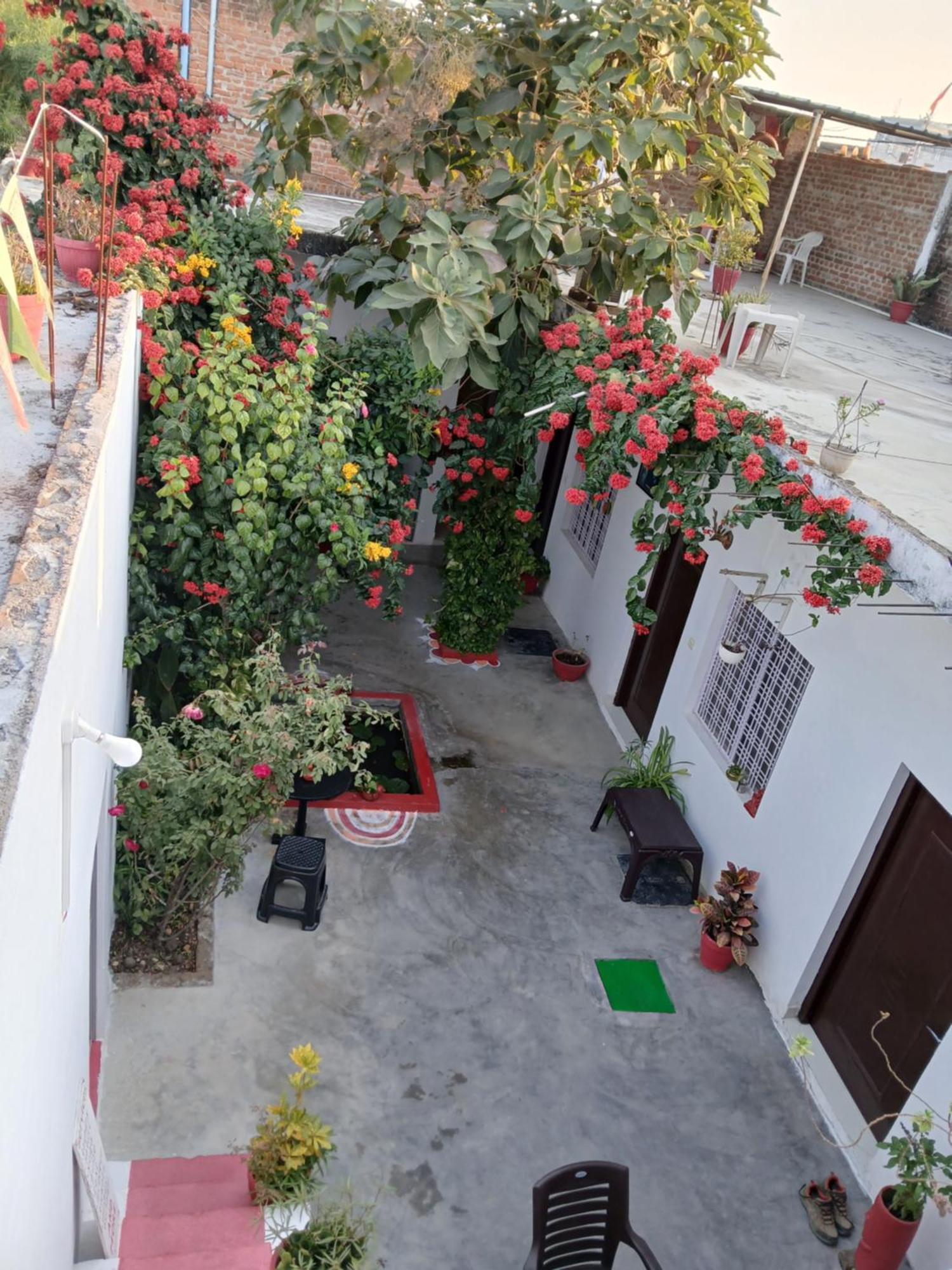 The Highvill Home Stay Khajurāho Zewnętrze zdjęcie